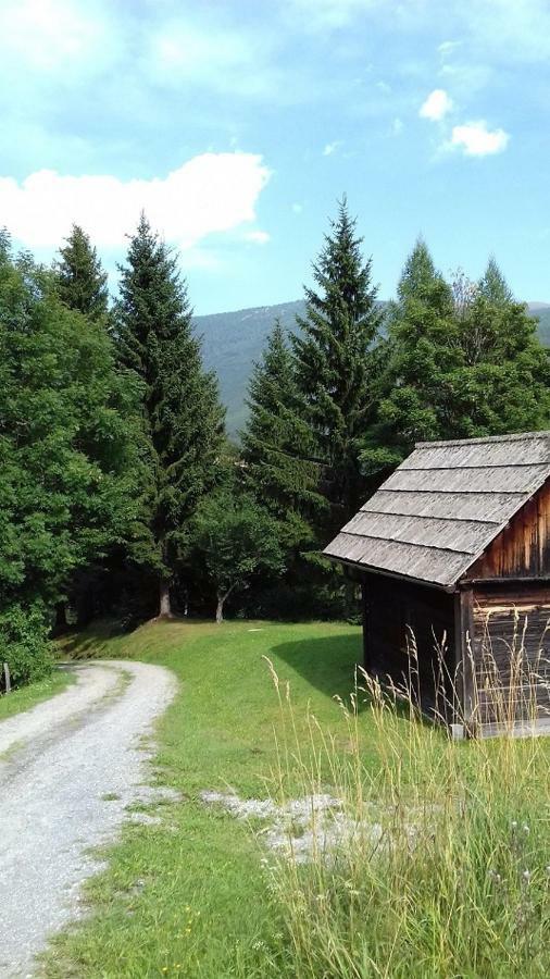 Almwiese Apartment Stadl an der Mur ภายนอก รูปภาพ