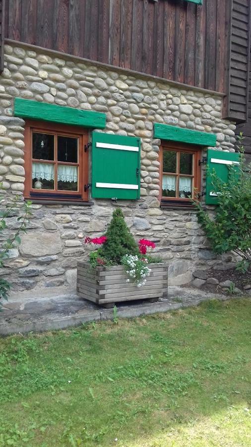 Almwiese Apartment Stadl an der Mur ภายนอก รูปภาพ